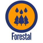 Segmento Forestal Anraci