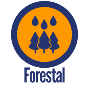 Segmento Forestal Anraci